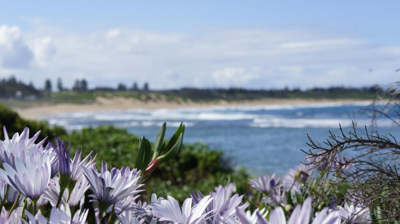 Blue Lagoon Beach Resort Bateau Bay Exterior photo